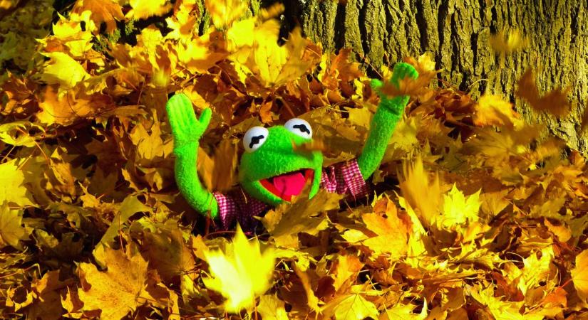 Kora tavasz október végén: 21 fokot is mérhetünk csütörtökön