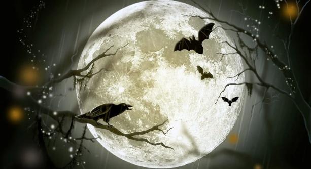 Mumus és a többiek: kockahegyes játékőrület