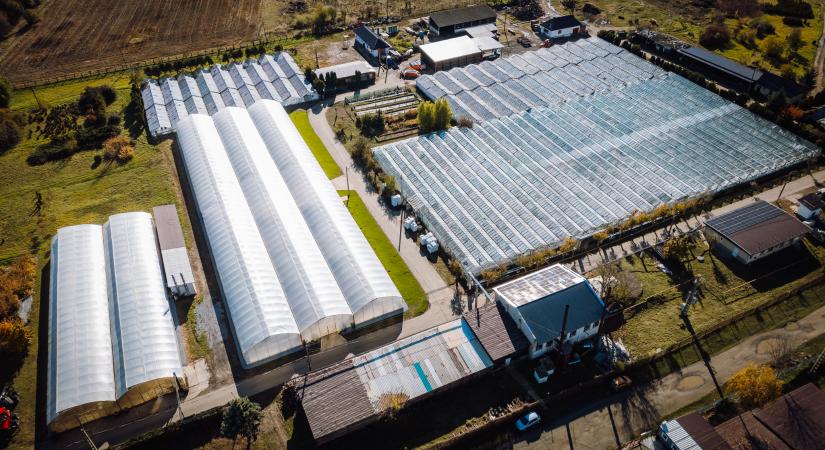 Napelemes rendszerrel és megújult kutyamenhellyel bővült a marosvásárhelyi Városi Kertészet