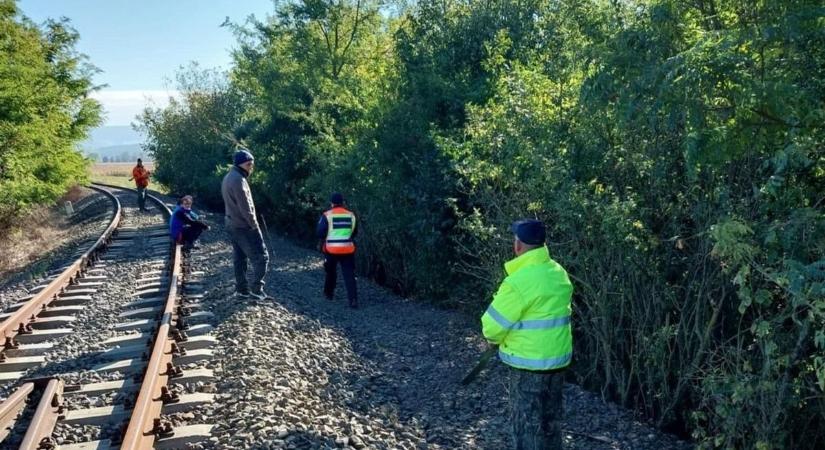 Folytatódik a Borsod megyei rémálom: a lucernásba indult a nő, ekkor látták utoljára