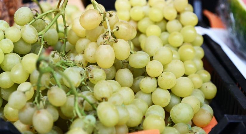 Ezeket a szőlős finomságokat imádni fogja a család: sós és édes receptek őszre hangolva