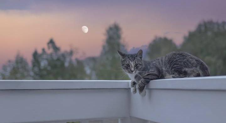 Ez az oka annak, hogy néha napközben is látod a Holdat