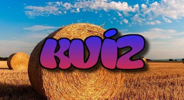 Kvíz: 10-ből csak 2 embernek sikerül helyesen! Te jól ismered a magyar közmondásokat?