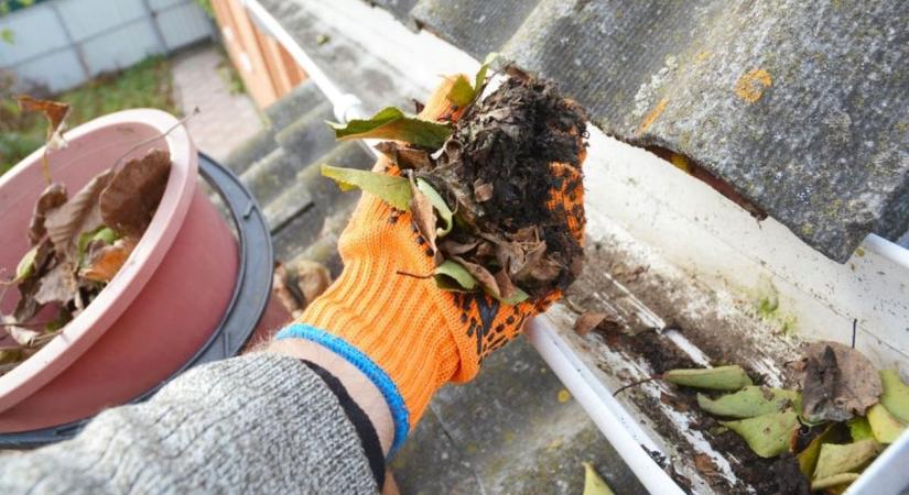 Őszi vízszigetelés és csapadékvédelem – így óvhatjuk meg otthonunkat a hideg hónapokban