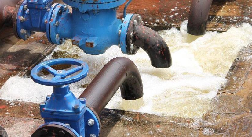 Nincs annál rosszabb ötlet, mint sós vízzel öntözni – kipróbálták, ez történt a növényekkel