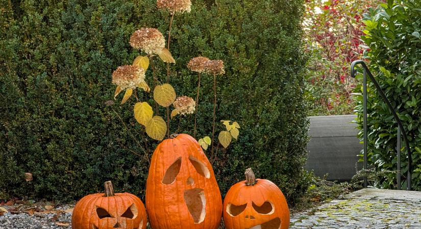 Zebegényben a polgármester betiltotta a családi tökfaragást, mert a „haláltökök” veszélyesek a gyerekek lelki fejlődésére