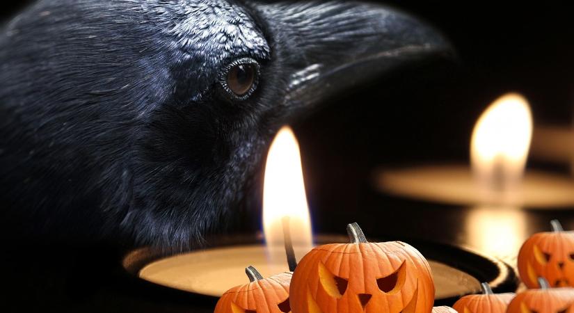 Halloweeni programokkal várják a látogatókat a Fővárosi Állatkertben péntek este