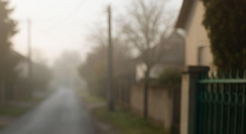 Reggel kiment a kapuhoz, és olyat látott, amitől percekig csak nézett maga elé