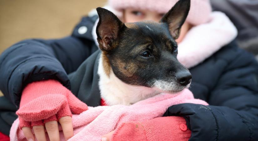 Németh Lajos szerint ekkor érkezik az igazi tél