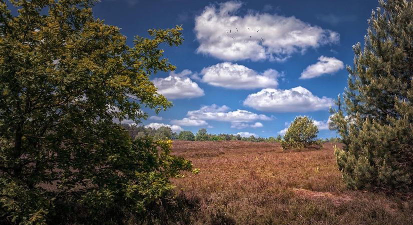 Időjárás: tavaszi Halloween