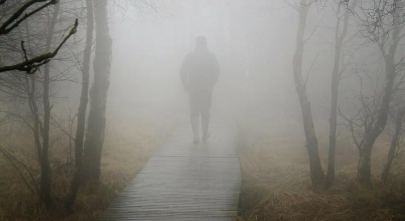 Győrbe indult az eltűnt 14 éves pápai lány