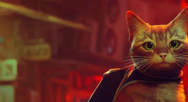 PlayStation Plus-ajándék macskának ne nézd a fogát?!