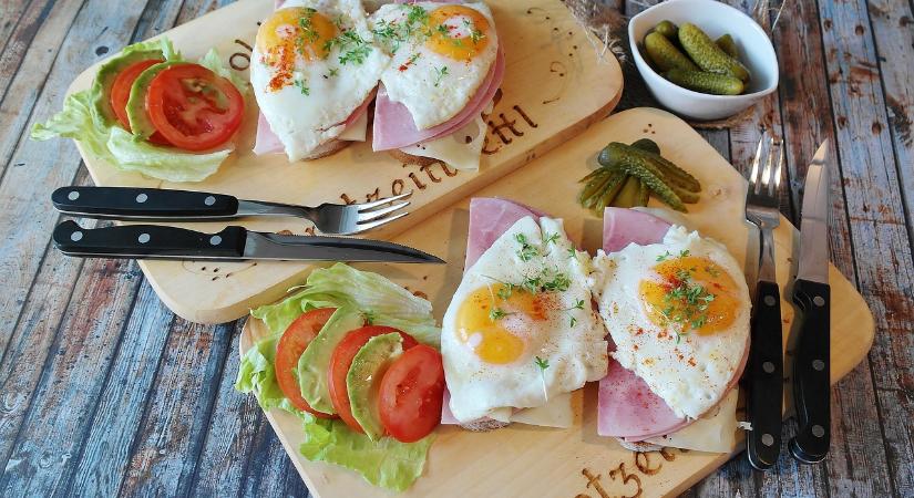 SUSTAINABLE LIVESTOCK INTERGROUP – Milyen táplálkozási értéket képviselnek az állati eredetű élelmiszerek?