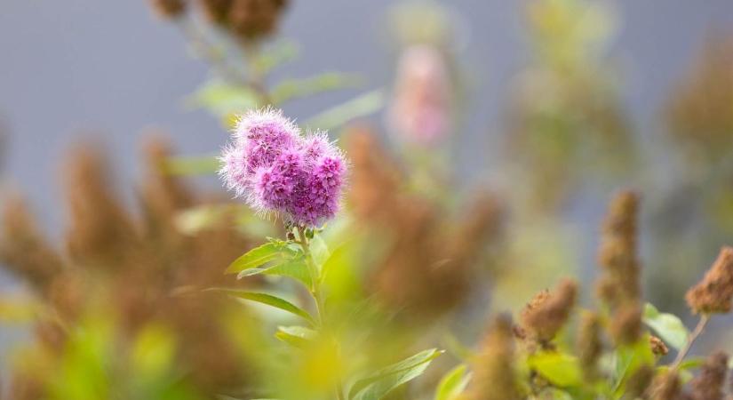 Lehet, hogy észre sem vette, de átléptük ezt a határt vasárnap