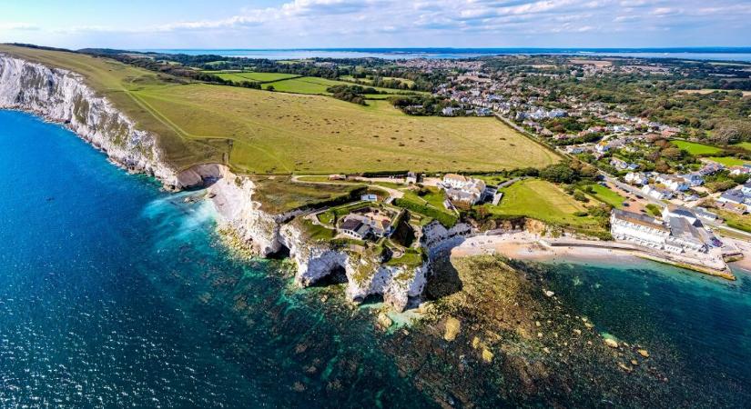 40 év után újra előkerült egy nagyon ritka pókfajta