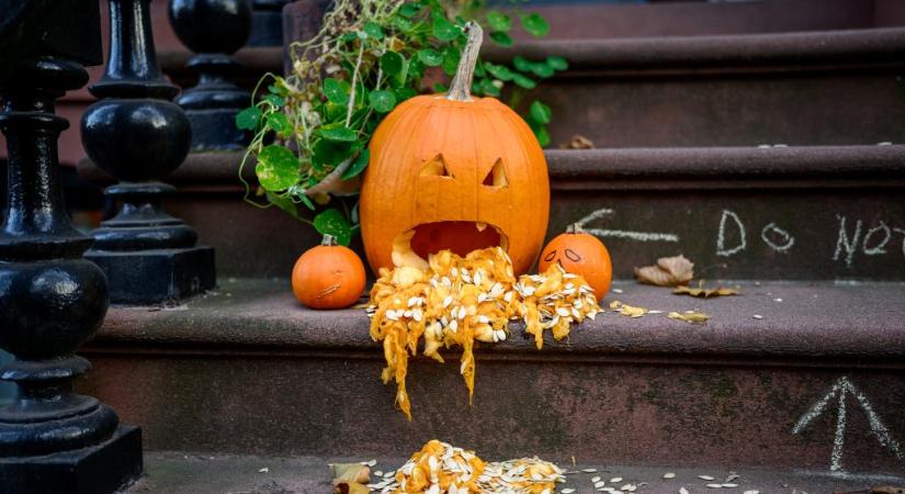 „A halottak napja az imádság ideje, nem a tökös vidámságé vagy az ijesztő fejes díszítéseké” – betiltotta a családi tökfaragást a polgármester Zebegényben