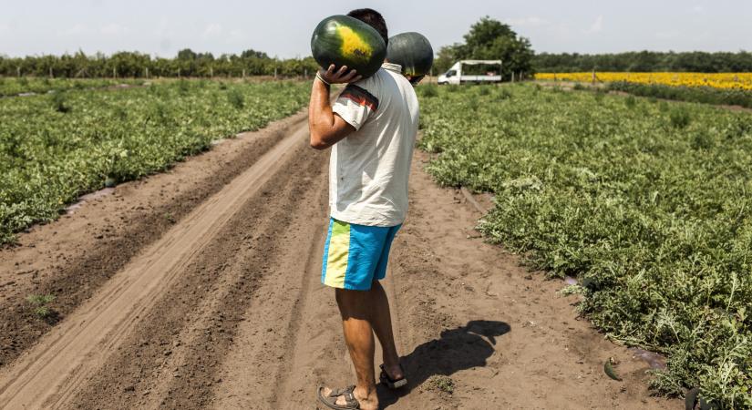 A birtokkoncentráció a jelen egyik legfontosabb vidéki kérdése