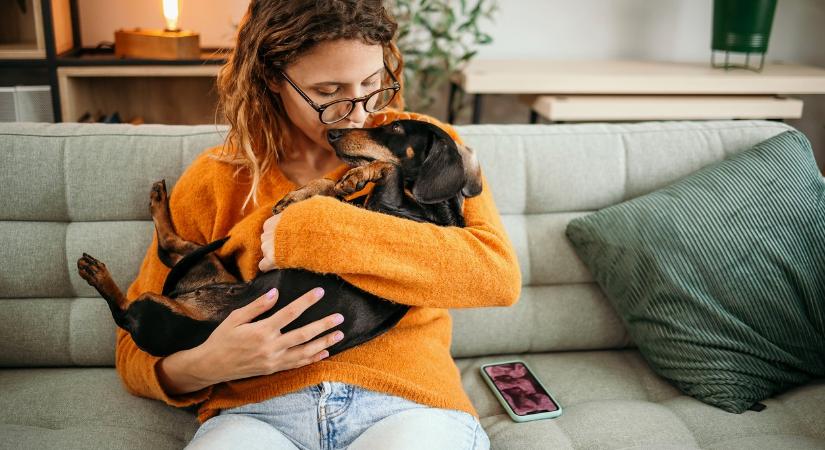 Fájdalmas tehetetlenség: ilyen az életem egy idős, vak kutyával