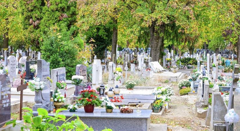 Öt sírral történt meg a szörnyűség, ilyet egy hozzátartozó se akar látni – figyelmeztet a hatóság Hajdú-Biharban