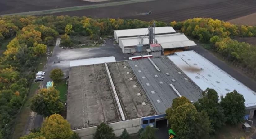 Chemical-Seed Kft. – 35 éve a gazdák szolgálatában  VIDEÓ