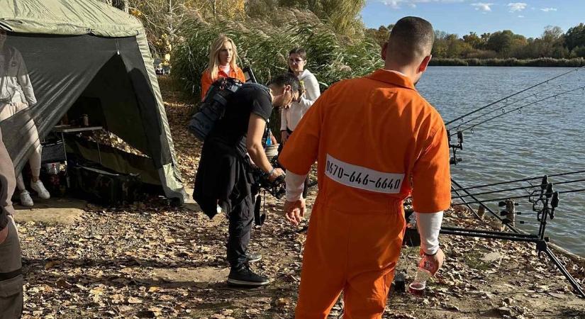 A celebszökevények már a szomszédban vannak, Somogyban is felbukkanhatnak!