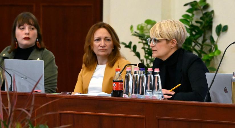 „Undorító, amit a Tisza csinált” – kiakadtak a Tisza szavazói a Sziget miatt