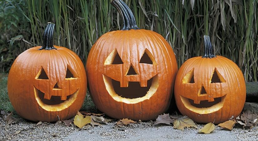 Áll a bál: ezen a magyar településen betiltották a halloweeni tökfaragást, a polgármester nyilvánosan kelt ki az ünnep ellen