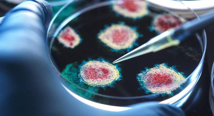 Rettenetes járvány pusztít a szomszédban: a védekezéshez már a hadsereget is bevetették