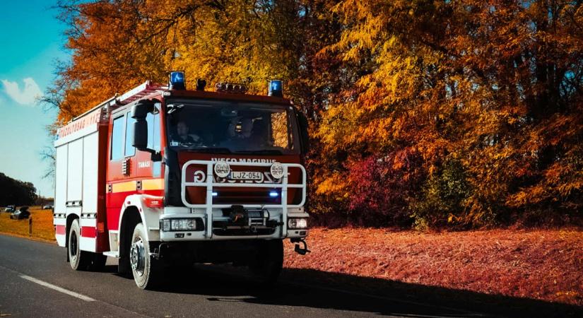 A tűzoltók nem győzik a riasztásokat – már 254 hektár égett le Tolnában!