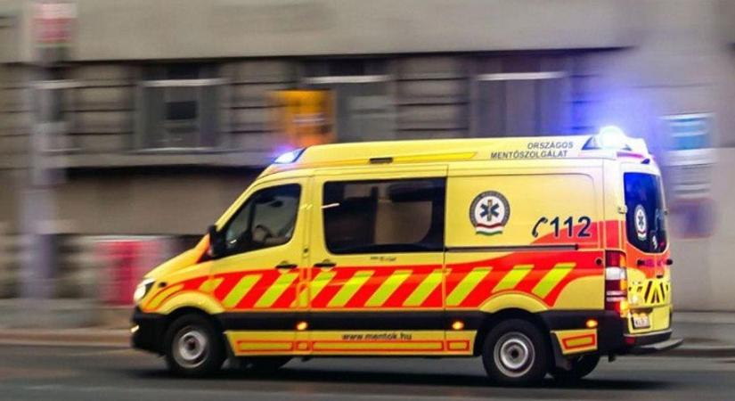 Kutyáját akarta menteni, vízzel teli árokba esett egy kislány Zircen