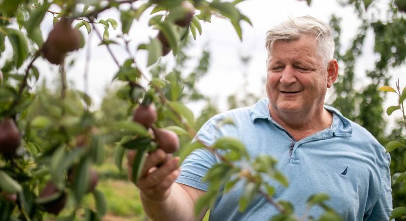 A magyar gyümölcs jövője: minőség, helyi feldolgozás és digitalizáció