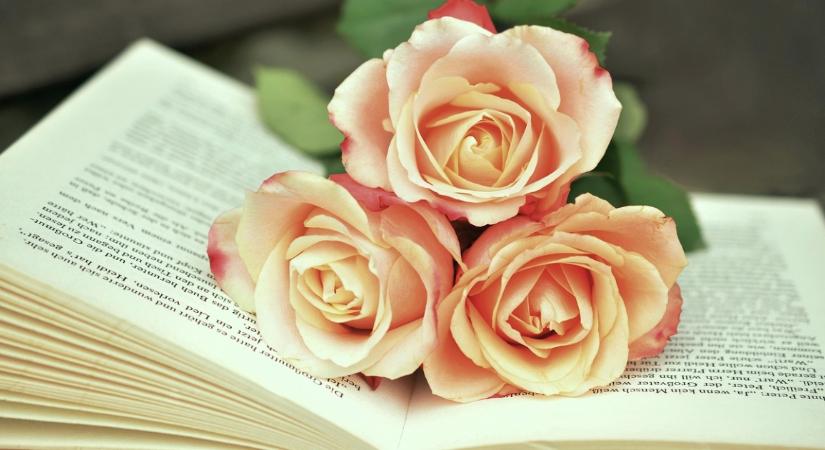 Kötetet ragadj! Költők és írók mellett idén rapperek munkáit is górcső alá veszik az 54. Debreceni Irodalmi Napokon