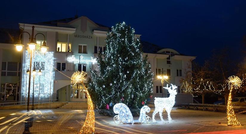 Idén is kiválasztják a város fenyőfáját, ide állítják majd fel