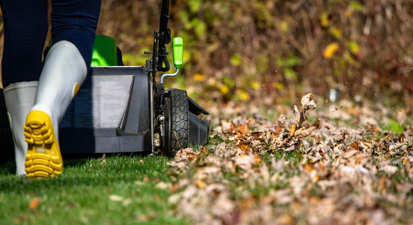 Ekkor érdemes utoljára lenyírni a füvet ősszel, hogy tavasszal csodaszép legyen