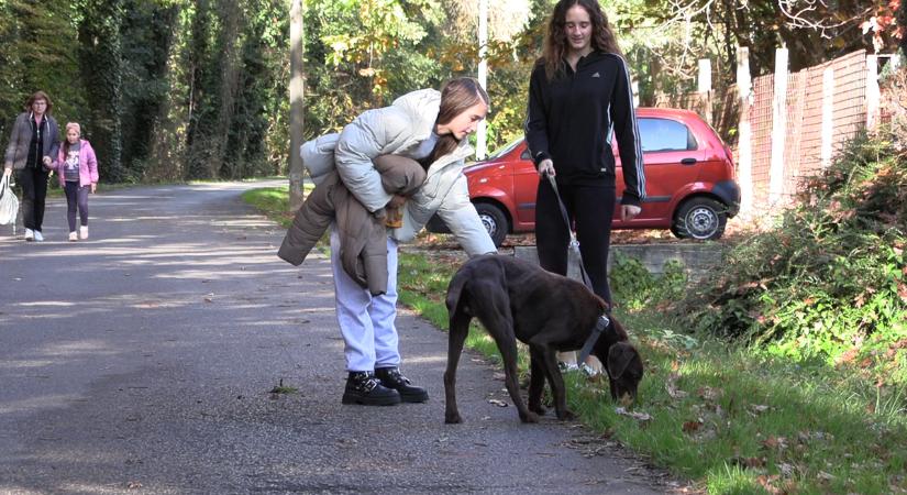 Közösség az állatokért: kanizsai fiatalok a boldogabb kutyákért
