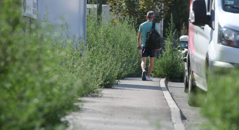 Bevezették a „sétasebesség” korlátozását a járdákon, mutatjuk kikre vonatkozik