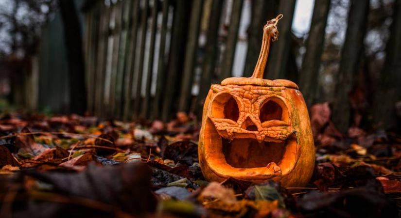 Betiltották a tökfaragást ebben a magyar községben: a polgármester ezzel indokolta furcsa döntését