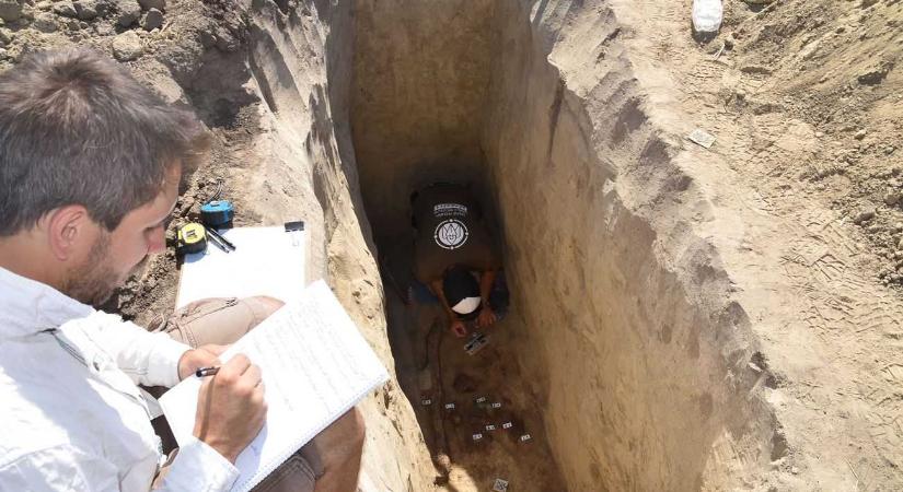 Eltűnt a sírból a rangos avar kori harcos feje és felsőteste