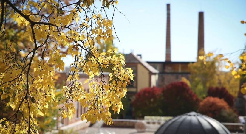 Hihetetlen, milyen idővel vágunk bele a novemberbe!