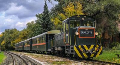 Vonatozás a természet szívében – kirándulás a Királyréti Erdei Vasúton