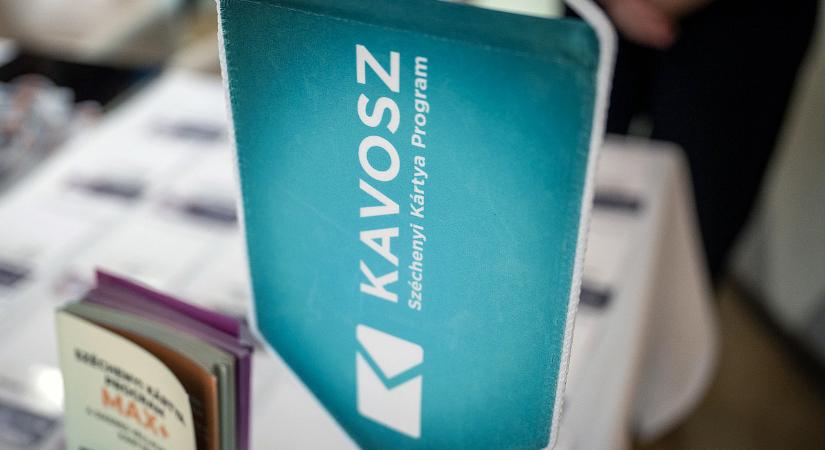 Tolonganak a vállalkozások a kormány csodafegyveréért: már cégek ezrei léptek