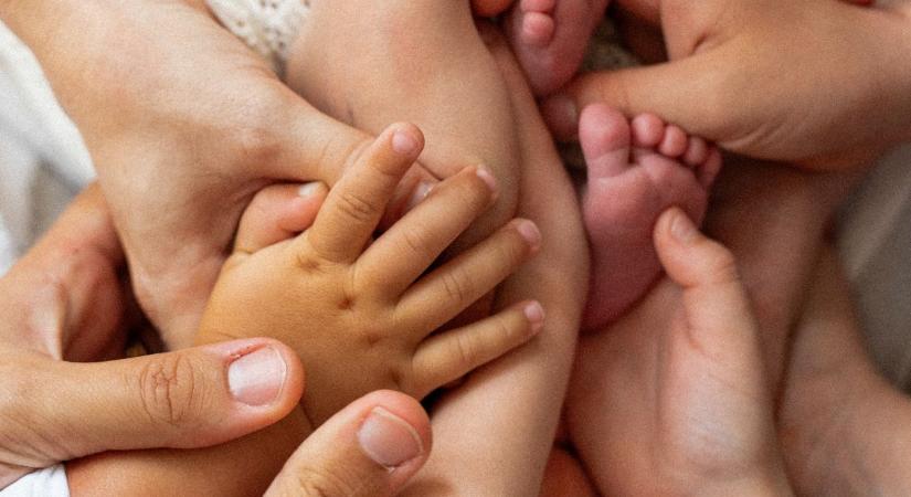 Bántalmazott nőknek és gyerekeknek akart segíteni Vasvári Vivien, de politikai nézetei miatt visszautasították