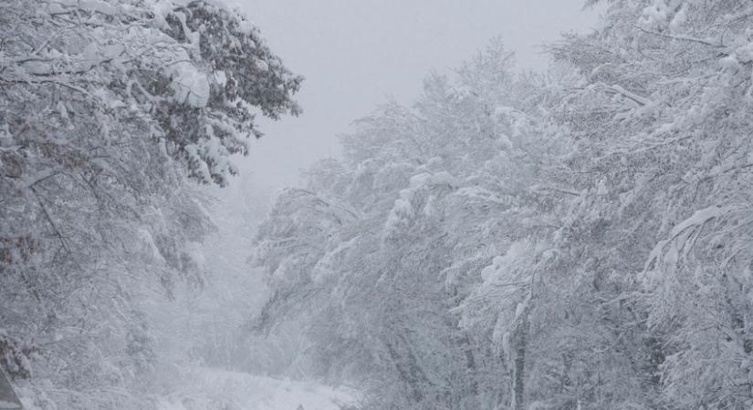 Kiderült, hogy lehet-e fehér a karácsony