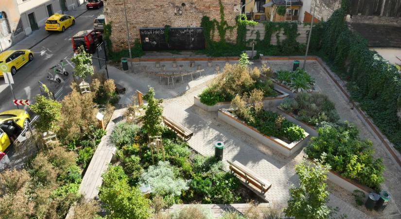 Átadták a 2025-ös Tájépítészeti Nívódíjakat