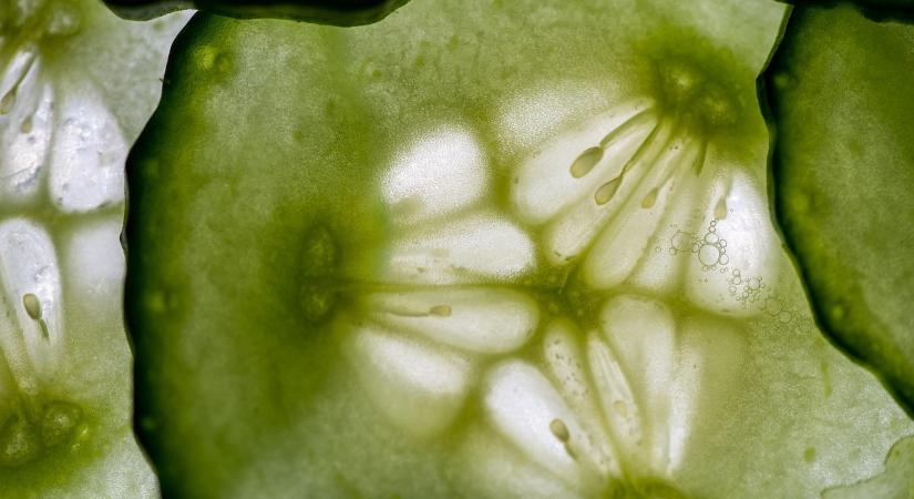 Rekordot döntött a spanyol uborkaimport