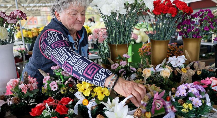 Ennyibe kerül most egy szál krizantém – sokan csak pislogtak a virágboltban
