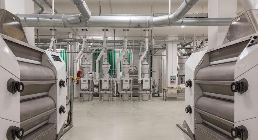 Óriási magyar siker: a világhírű lap is felfigyelt erre a két magyar vállalatra, ők a növekedés bajnokai