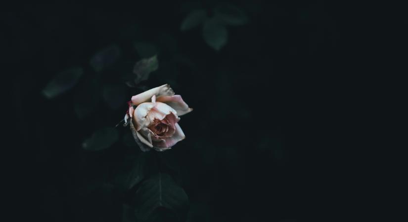 Meghalt egy 17 éves fiú – edzés közben érte a halálos sérülés