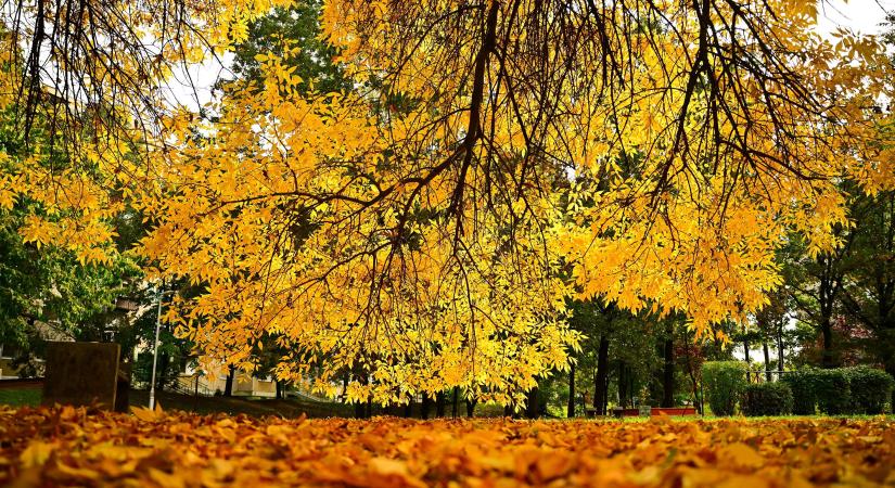 Enyhe idő az első novemberi hétvégén