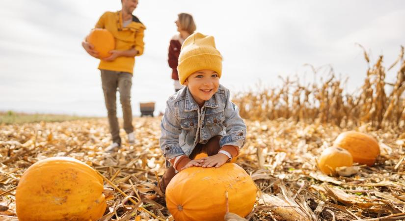Családi programajánló hétvégére – október 31-től november 2-ig